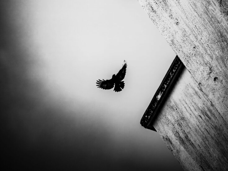 The NS Poem: Nocturne