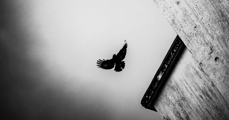 The NS Poem: Nocturne