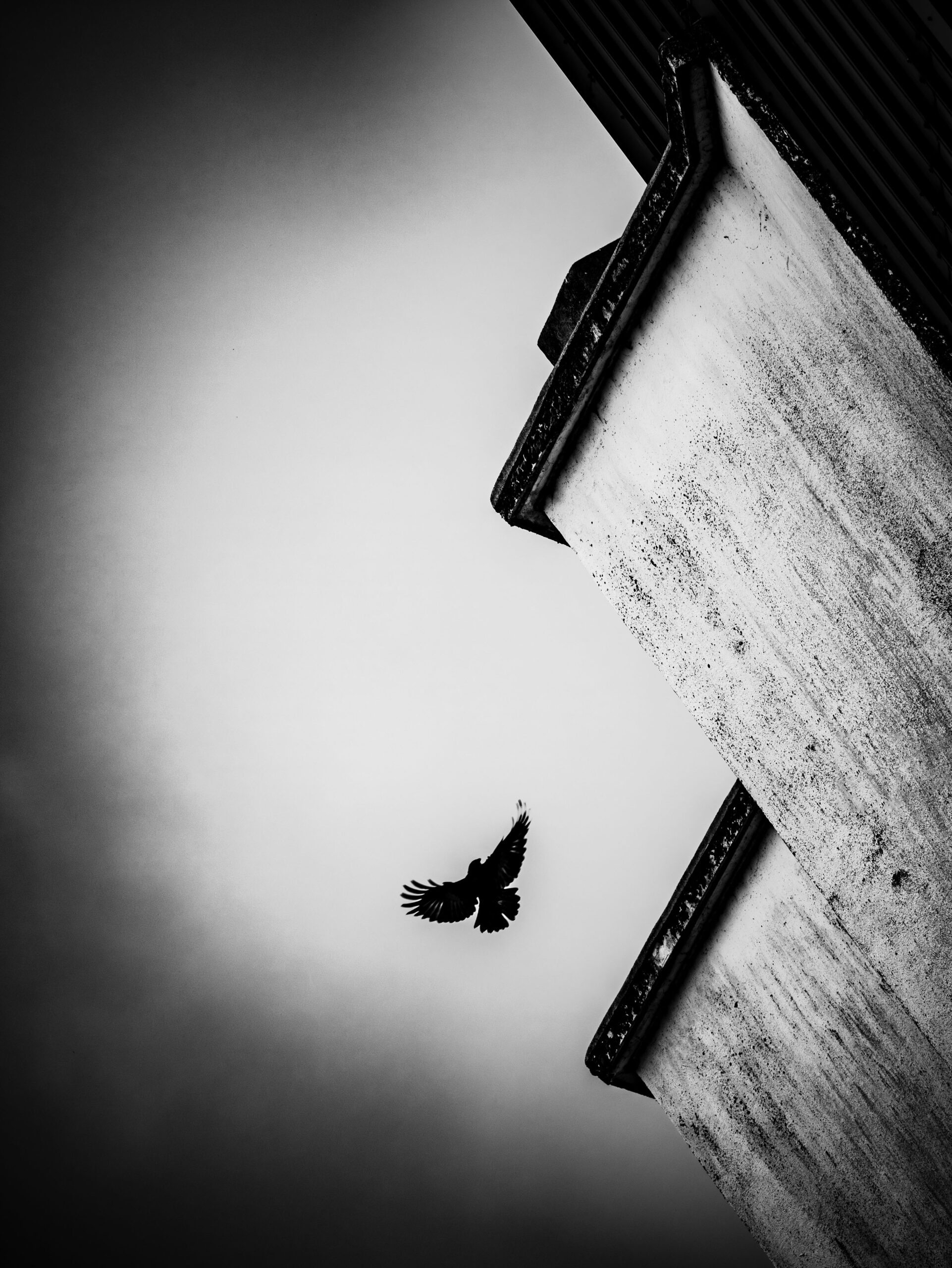 The NS Poem: Nocturne