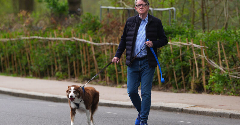 Starmer relies on fed-up but not mutinous MPs