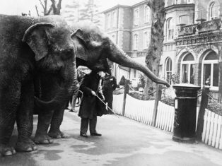 Letter of the week: Downing Street damage control