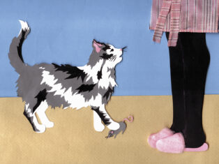 Cats can now talk to humans. What are they trying to say?