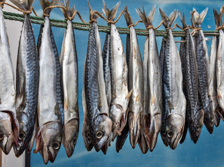 Istanbul: the fish is better than the infrastructure