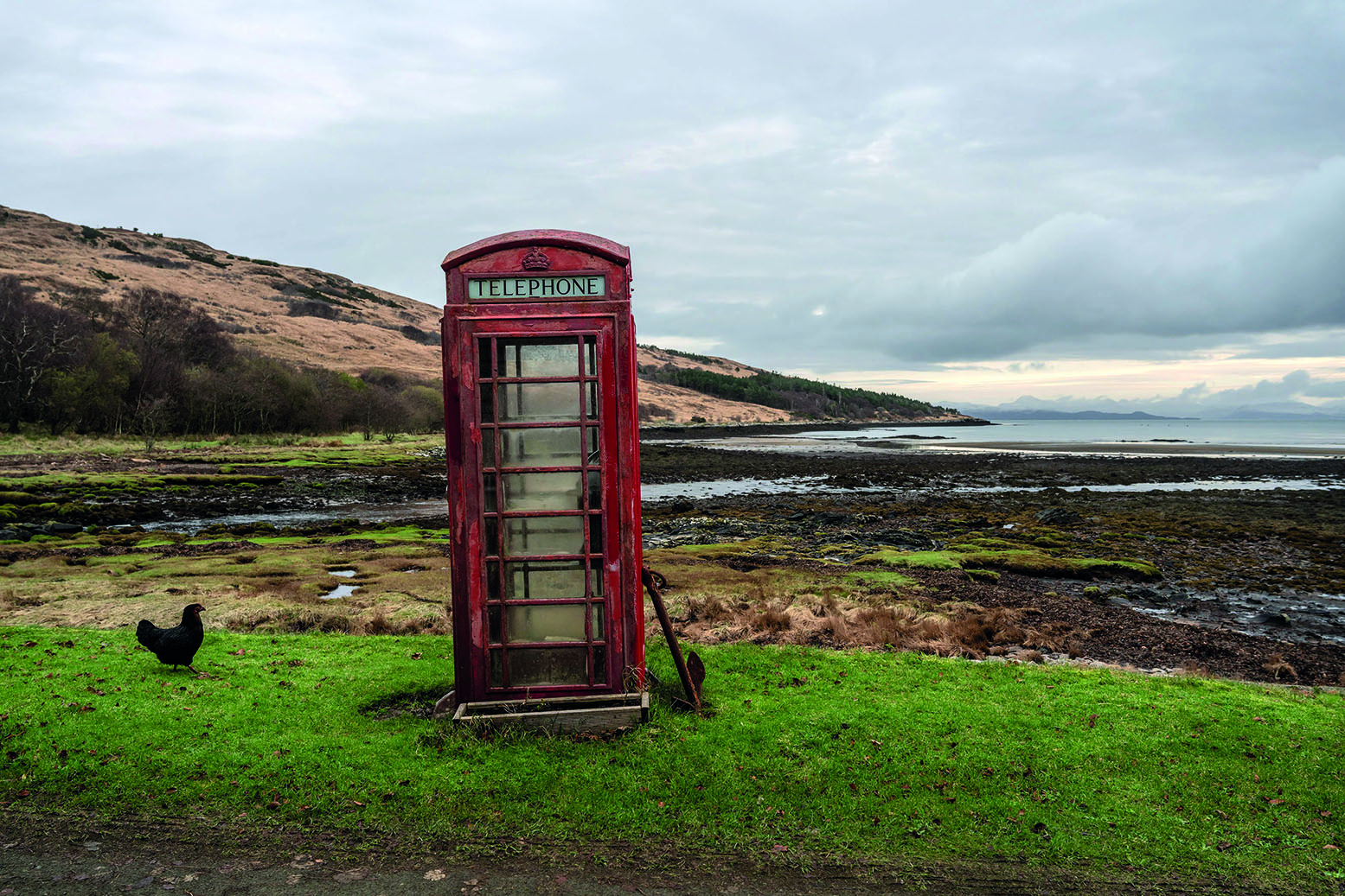 Douglas Stuart's harsh visions