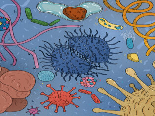 The viruses that heal us