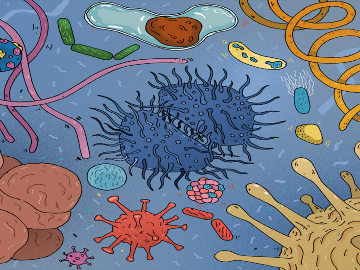 The viruses that heal us