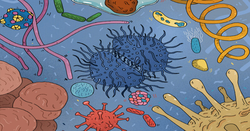 The viruses that heal us