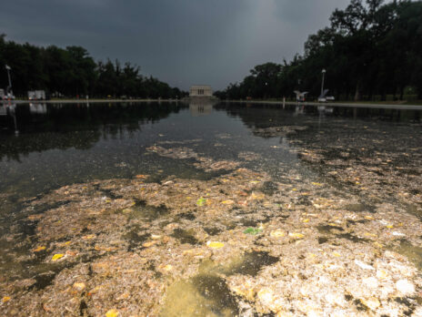 To understand Trump, look into the filthy waters of Washington’s reflecting pool To understand Trump, look into the filthy waters of Washington’s reflecting pool