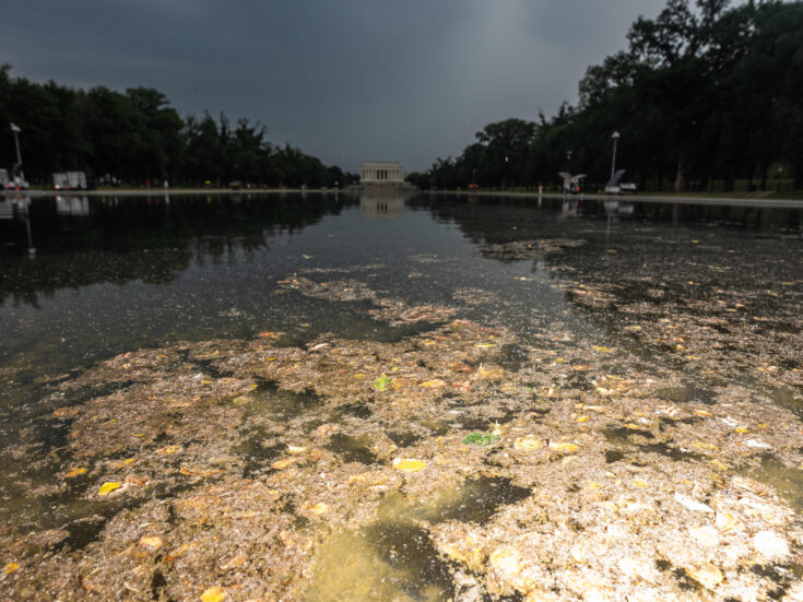 To understand Trump, look into the filthy waters of Washington’s reflecting pool
