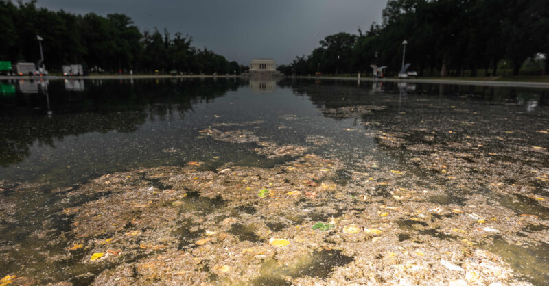 To understand Trump, look into the filthy waters of Washington’s reflecting pool