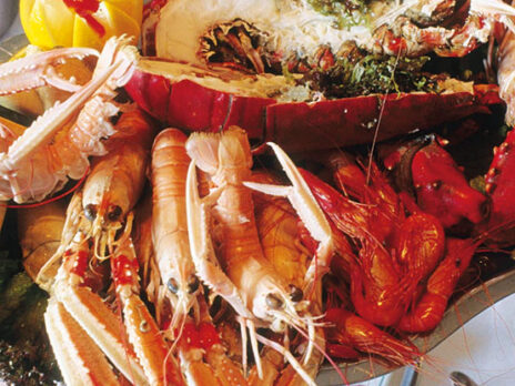 South Dublin: where even the prawns have a superiority complex