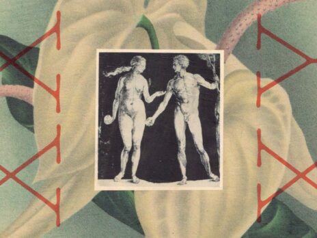 Ignoring sex differences harms us all