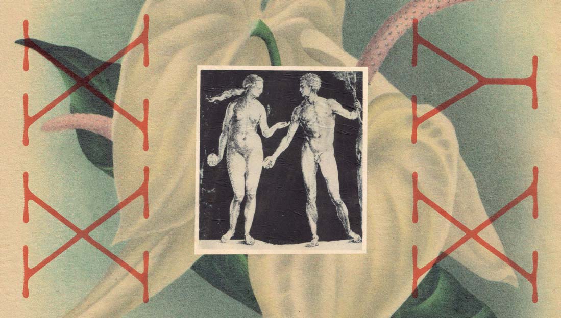 Ignoring sex differences harms us all
