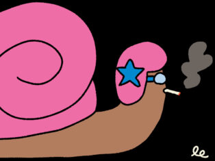 Searching for the world's fastest snail