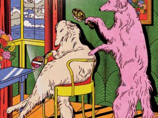 The coddling of the canine mind