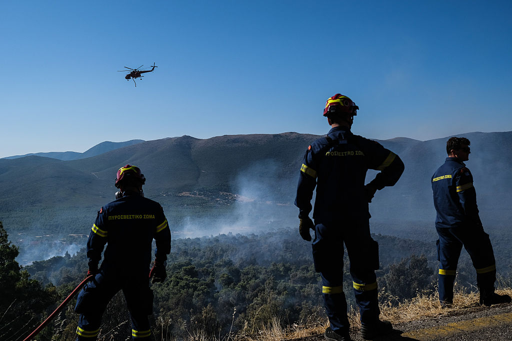 newstatesman.com - Stella Tsantekidou - How I learned to stop worrying and embrace the wildfires