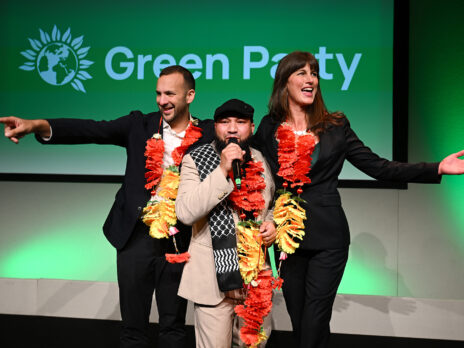 Did the Green Party top up its deputy leader's wages with public money?