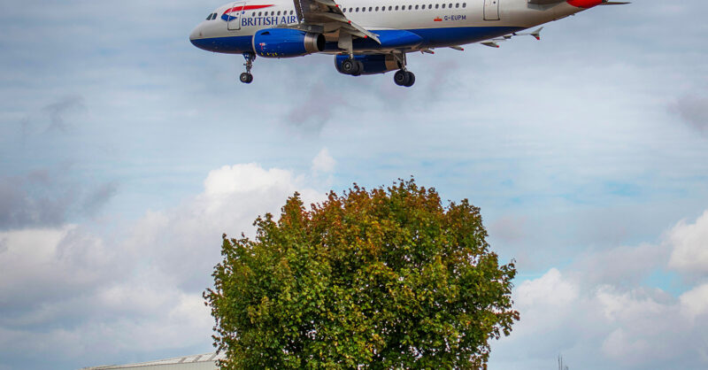 In Hounslow, they are letting a hundred flowers bloom