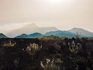 Valeria Luiselli's Sicilian odyssey