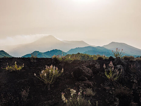 Valeria Luiselli's Sicilian odyssey