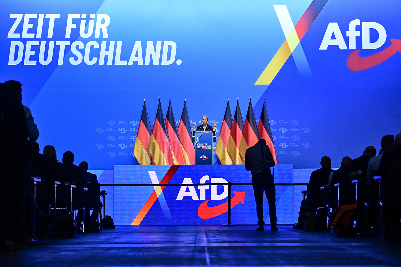 You should know what the AfD means