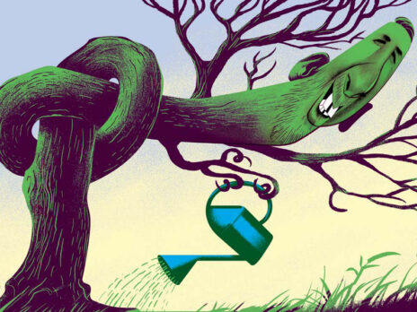 Zack Polanski has better things to do than lead the Green Party