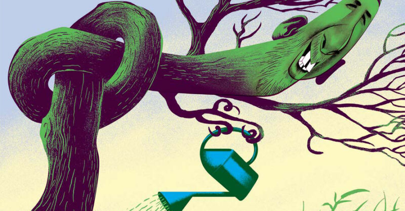 Zack Polanski has better things to do than lead the Green Party