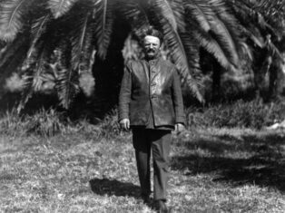 How entryism came for the Green Party